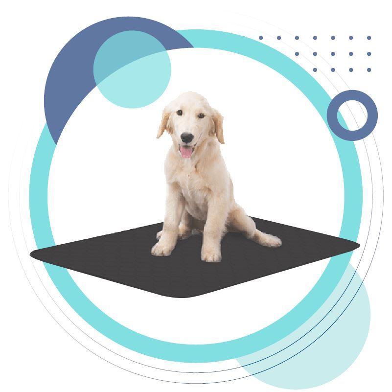 Pets Earthing Mat